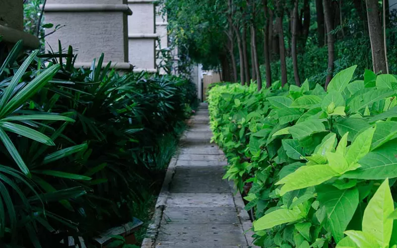 luxury apartments in south bangalore