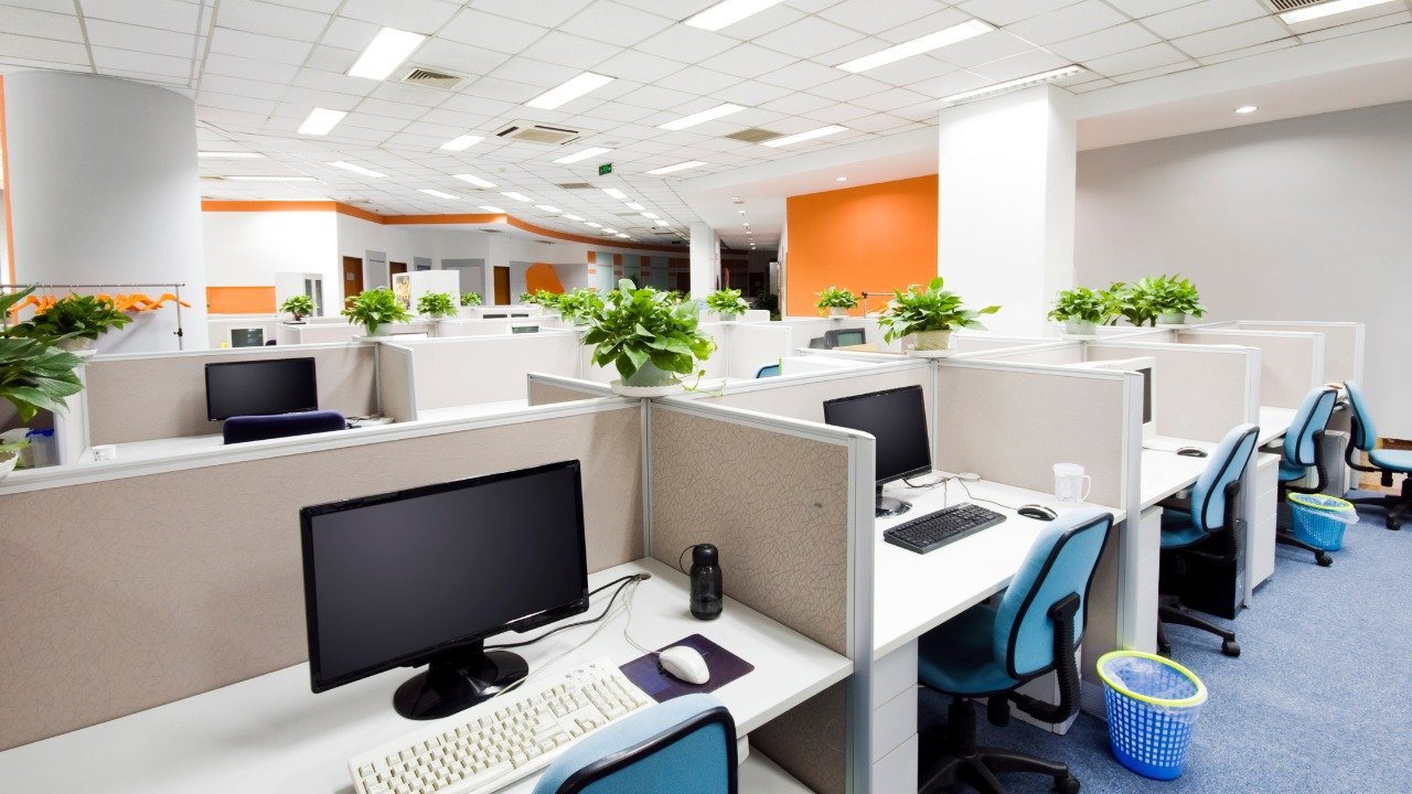 An office that is bathed in natural sunlight and air