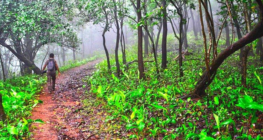 Recreation centres around Kanakapura Road